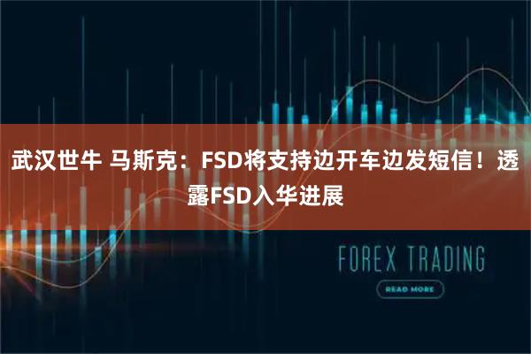 武汉世牛 马斯克：FSD将支持边开车边发短信！透露FSD入华进展